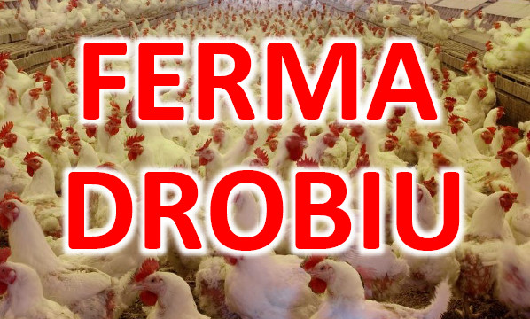 ferma drobiu